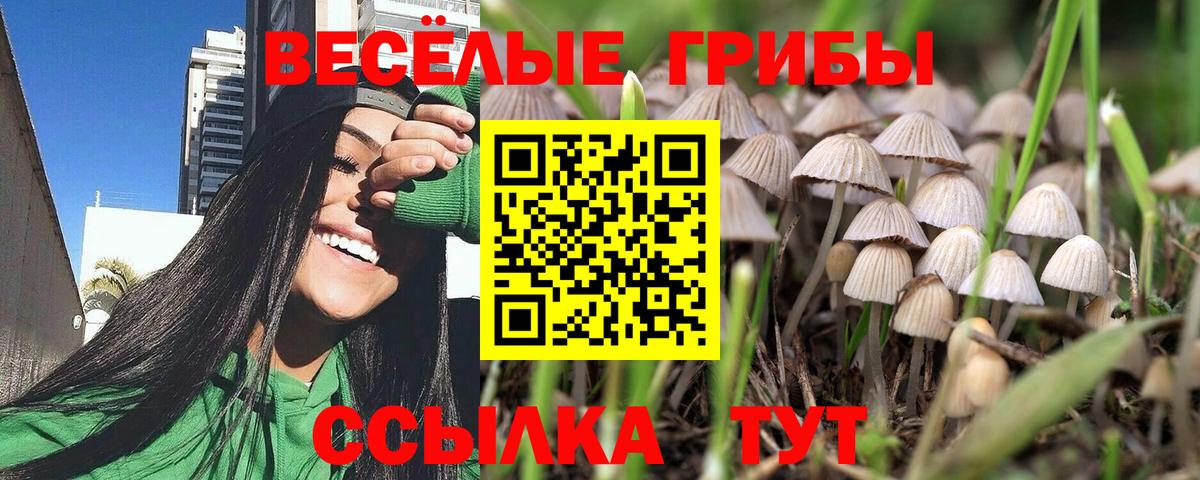 Пенза  Псилоцибиновые грибы мухоморы  Вход с VPN  Галлюциногенные грибы Psilocybine cubensis 